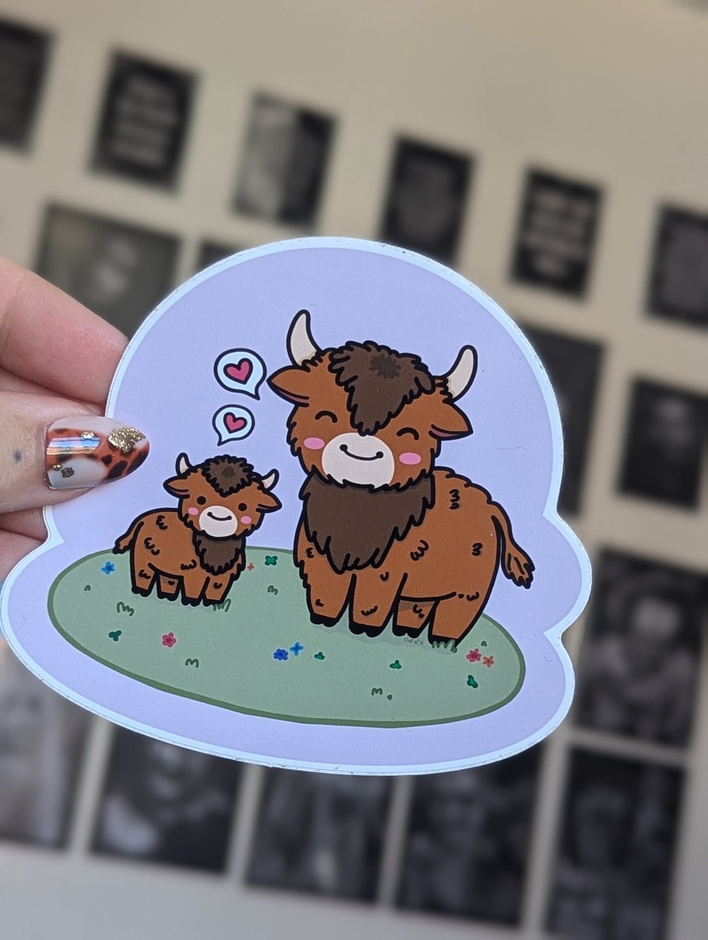 Highland family jumbo