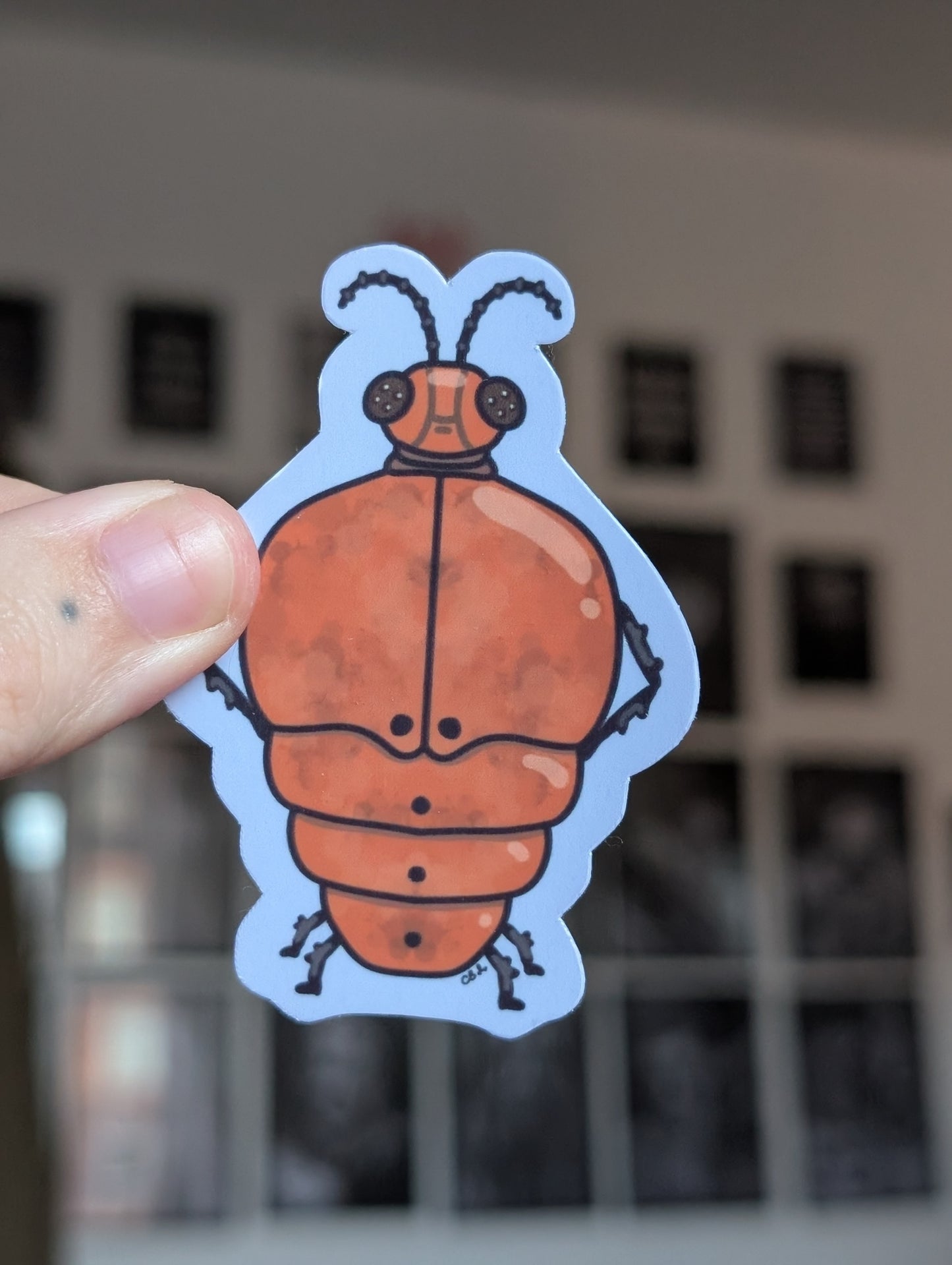 Beetledrobe gloss sticker