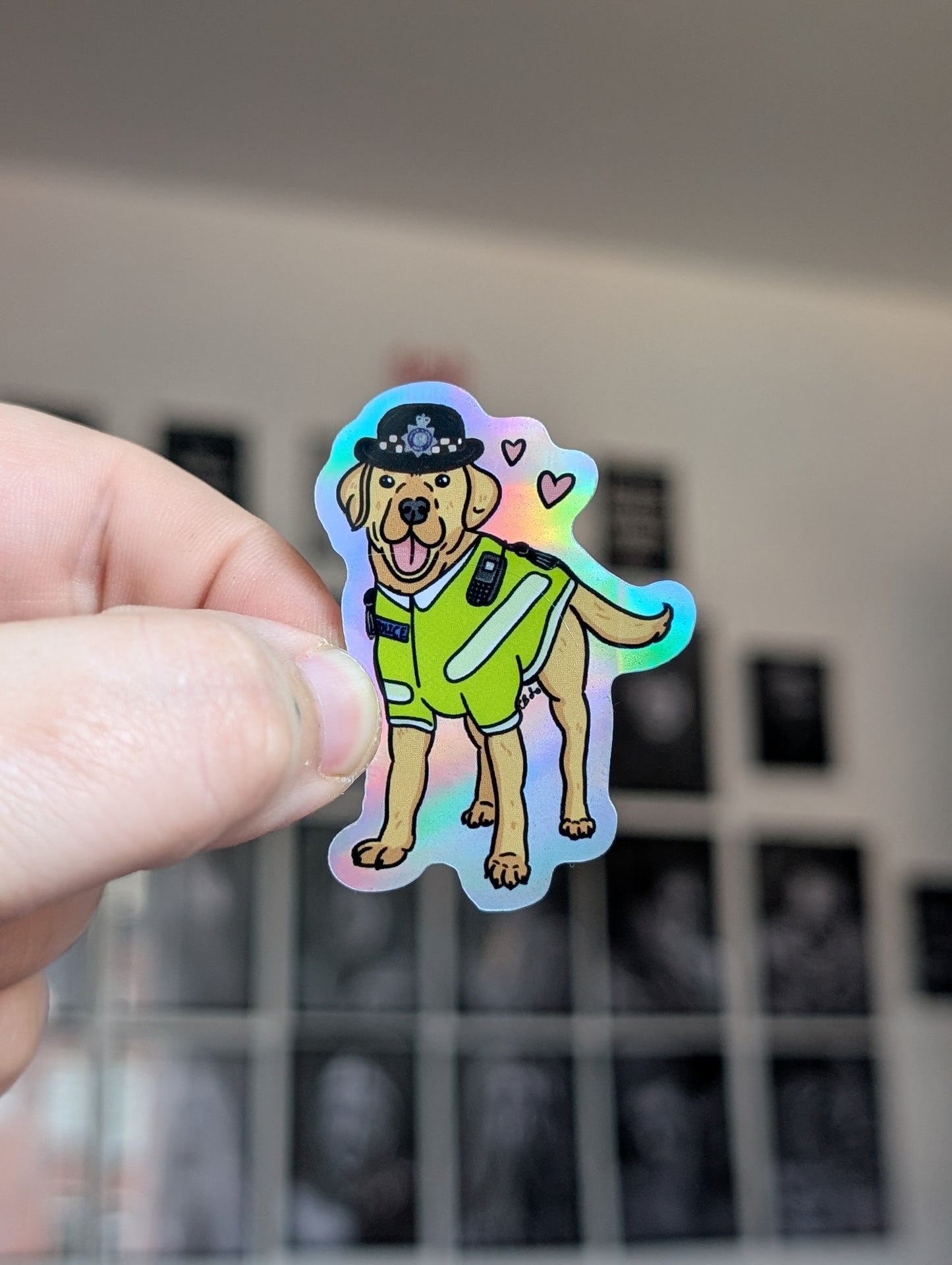 Holo Leia the LabraLaw sticker