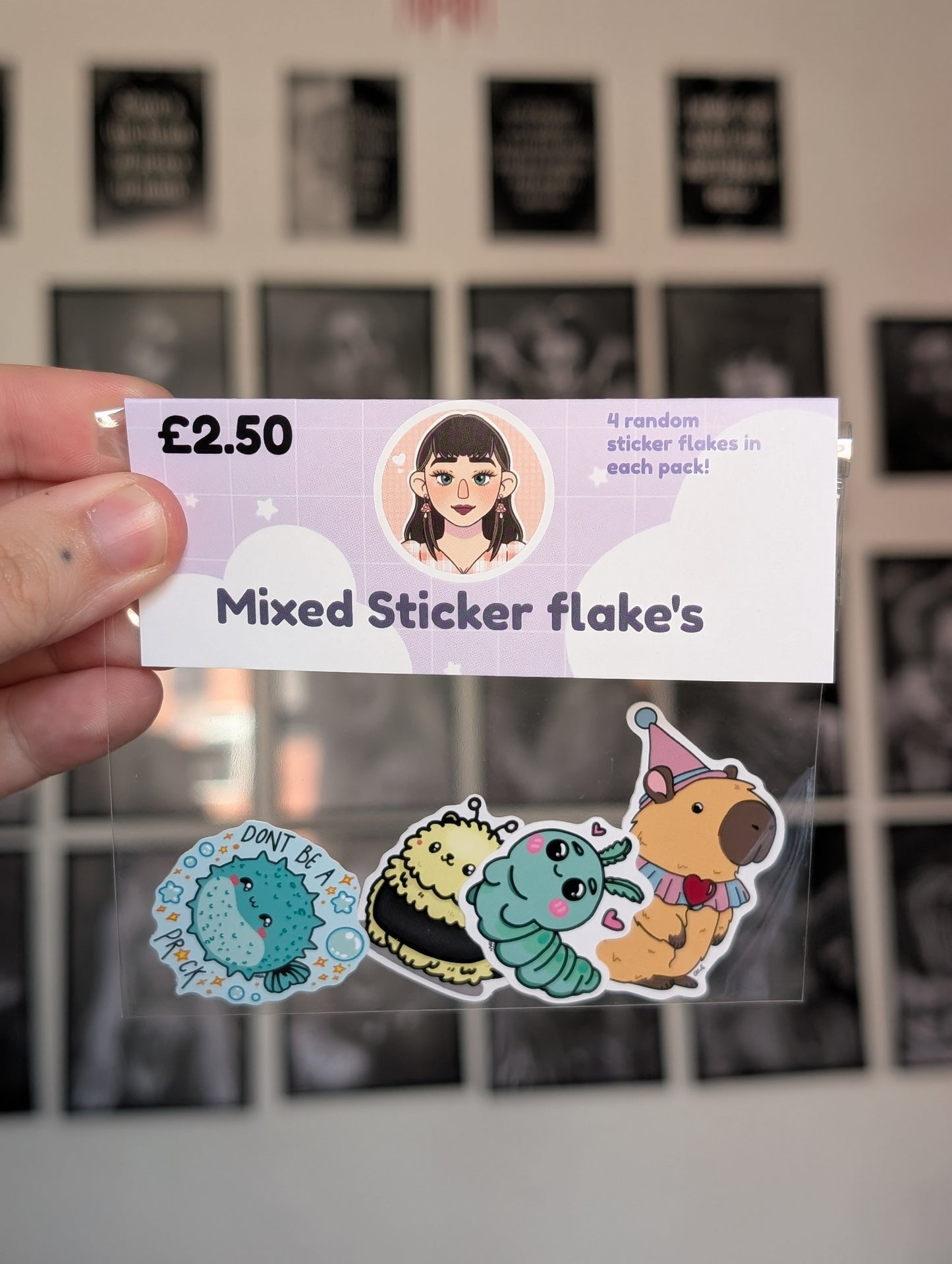 Mixed Sticker flake sets