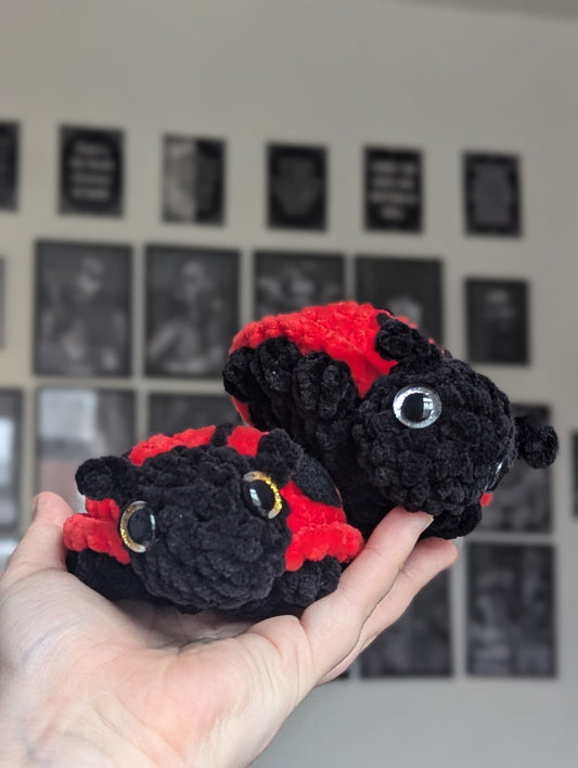 Lovely ladybugs