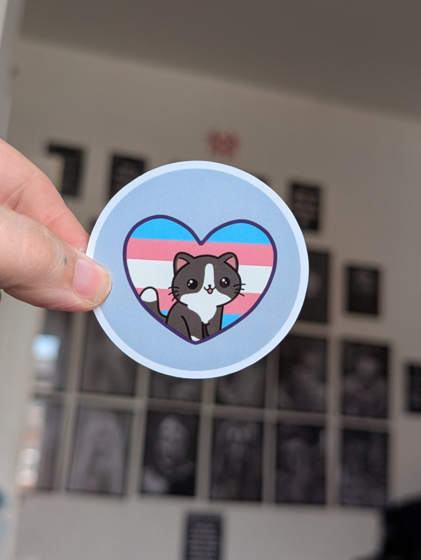 Kitty Trans Sticker
