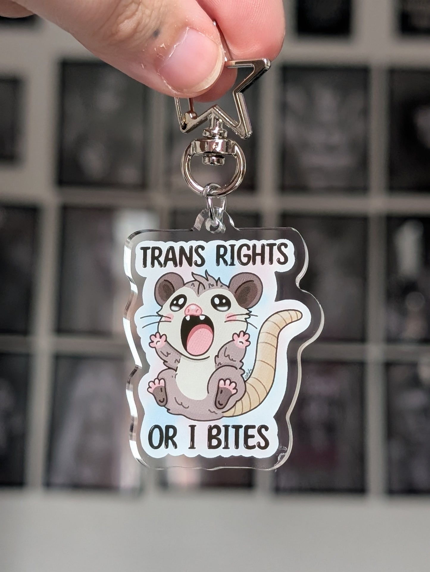 Trans right opossum keyring